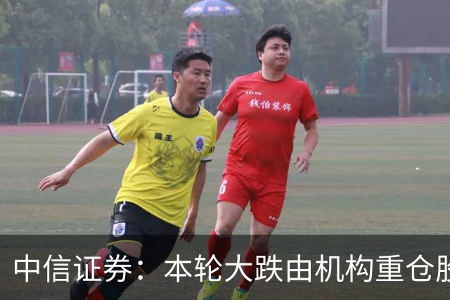 中信证券：本轮大跌由机构重仓股诱发，传导至高融资占比板块，AI核心票调整接近尾声