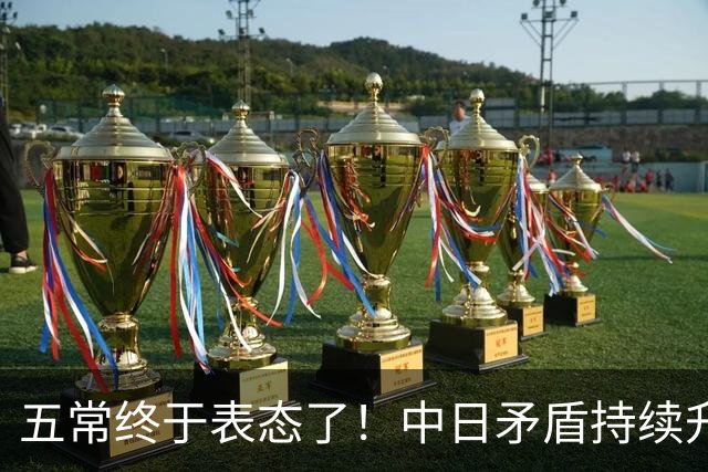 五常终于表态了！中日矛盾持续升级，五大常任理事国不再沉默，纷纷亮明立场，外界没想到它们竟会这样选边