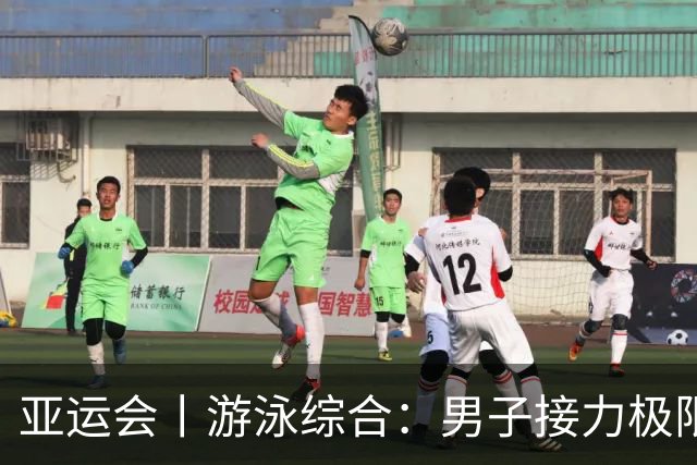 亚运会丨游泳综合：男子接力极限翻盘 “小孩姐”打破纪录