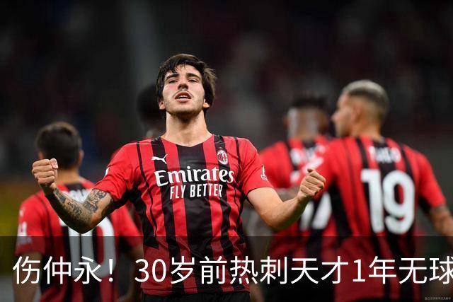伤仲永！30岁前热刺天才1年无球可踢：业余队训练 巅峰身价1亿