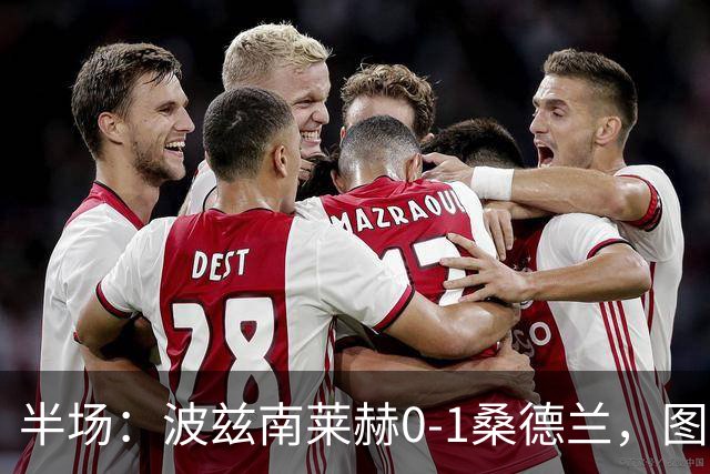 半场：波兹南莱赫0-1桑德兰，图特罗夫建功