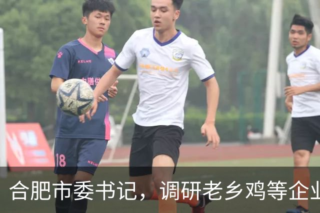 合肥市委书记，调研老乡鸡等企业