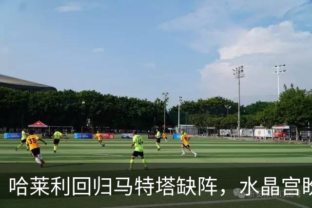 哈莱利回归马特塔缺阵，水晶宫盼反超森林再战里昂