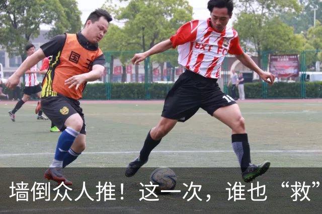 墙倒众人推！这一次，谁也“救”不了落井下石被“反噬”的杨议