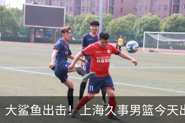 大鲨鱼出击！上海久事男篮今天出战这项洲际大赛