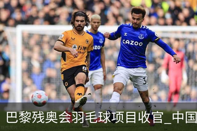 巴黎残奥会羽毛球项目收官 中国队斩获9金2银1铜