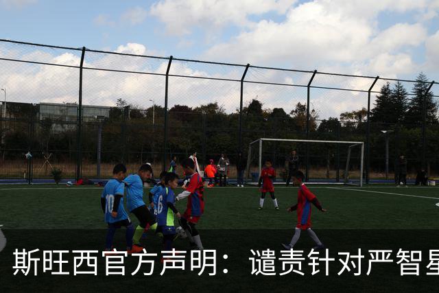 斯旺西官方声明：谴责针对严智星的种族主义辱骂，与球员站在一起
