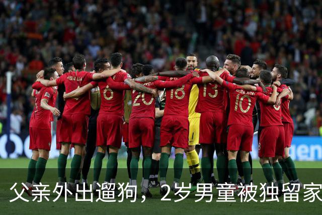 父亲外出遛狗，2岁男童被独留家中坠楼，12分钟发生了什么？