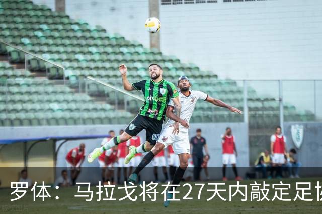 罗体：马拉戈将在27天内敲定足协选举布局