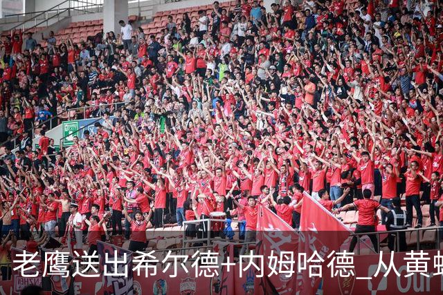 老鹰送出希尔德+内姆哈德 从黄蜂得到芬尼-史密斯