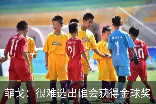 菲戈：很难选出谁会获得金球奖 我一直关注国米，齐沃是我好朋友