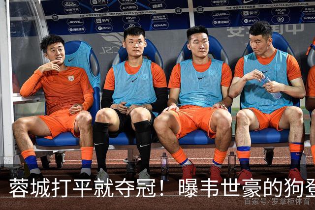 蓉城打平就夺冠！曝韦世豪的狗登上看台TIFO：见识见识你的本事