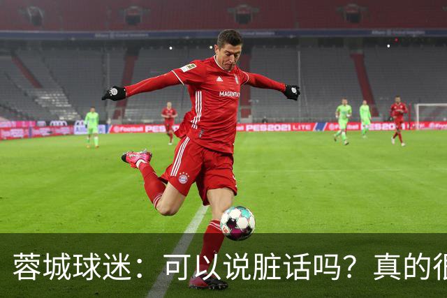 蓉城球迷：可以说脏话吗？真的很丢脸，主教练必须下课