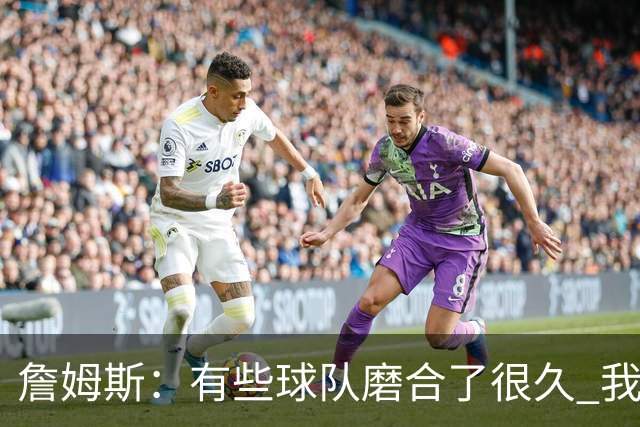 詹姆斯：有些球队磨合了很久 我们可没这种优势 所以更不能走神