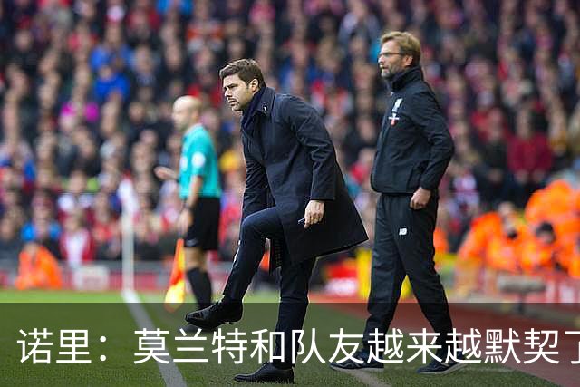 诺里：莫兰特和队友越来越默契了 比赛节奏对他而言会慢慢变慢