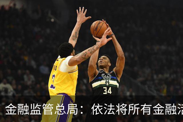 金融监管总局：依法将所有金融活动全部纳入监管
