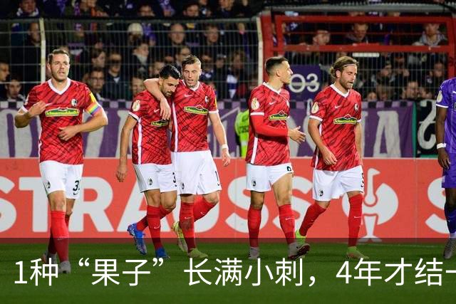 1种“果子”长满小刺，4年才结一次果，营养丰富，30元一斤