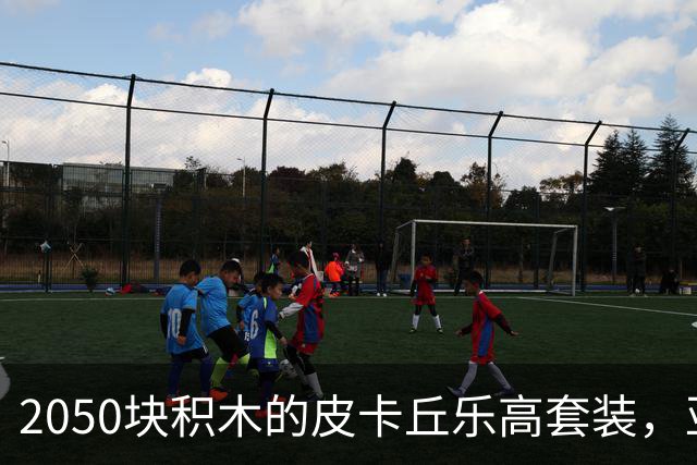 2050块积木的皮卡丘乐高套装，亚马逊降到186.99美元