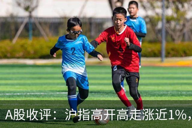 A股收评：沪指高开高走涨近1%，全市场超百股涨停，创新药、化学制药、房地产等板块走强